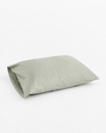 Fog green